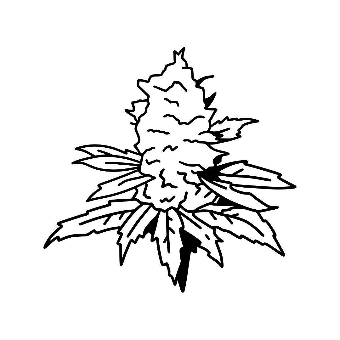 Buds T-shirt